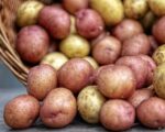 Kolorowe ziemniaki czyli „superfoods” po polsku