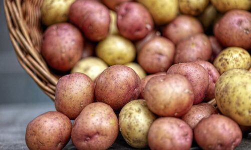 Kolorowe ziemniaki czyli „superfoods” po polsku
