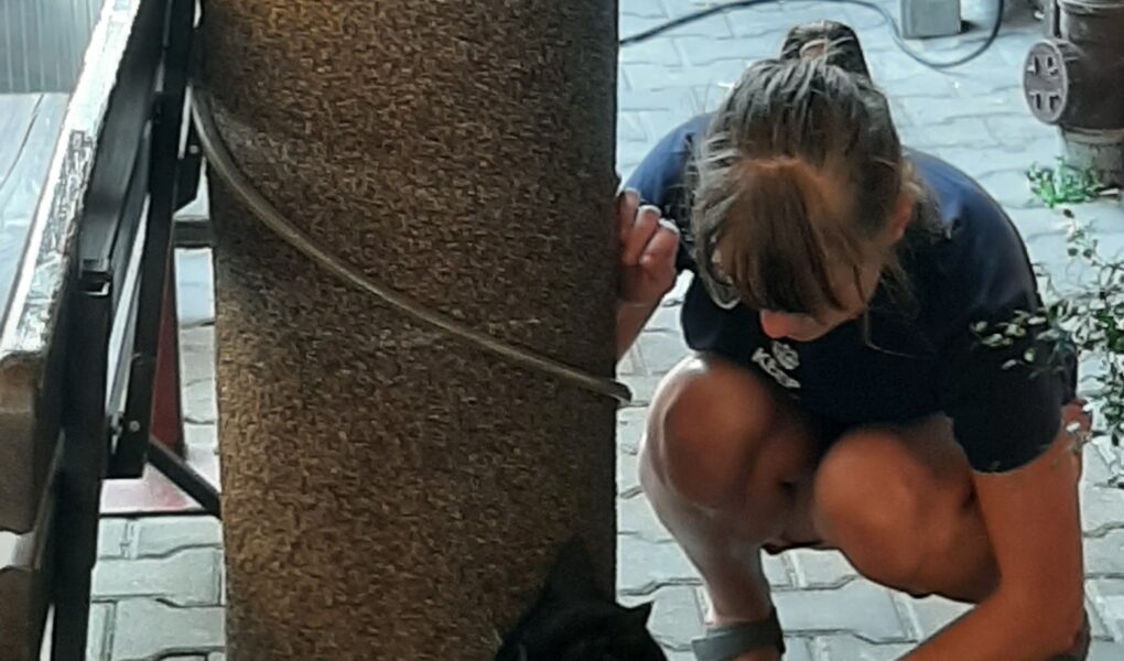 Przejście do innego świata