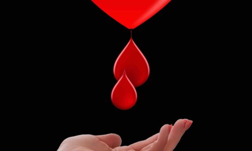 honorowi-dawcy-krwi-w-polsce-coraz-wiecej-benefitow-i-inicjatyw-edukacyjnych